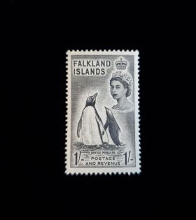 Falkland Islands Scott #127 Mint Never Hinged