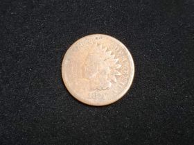 1874 Indian Head Cent AG 8037