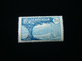 Cameroun Scott #206