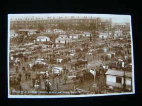 1911 Cattle Market North Circular Road Dublin Ireland Real Photo Postcard