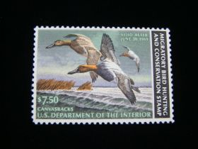 U.S. Scott #RW49 Mint Never Hinged Canvasbacks