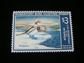 U.S. Scott #RW34 Mint Never Hinged Old Squaw Ducks