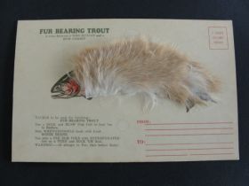 Unusual Vintage Fur Bearing Trout Postcard 