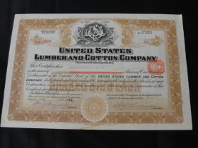 1912 United States Lumber and Cotton Company of Maine Stock Certificate