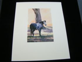 Bethany Caskey Original Painting Grey Horse In Shade 6" x 4" With COA